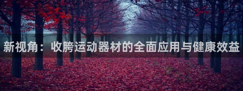 意昂4新能源：新视角：收胯运动器材的全面应用与健康效益