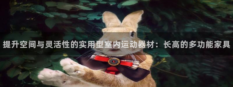意昂体育4是干嘛的公司：提升空间与灵活性的实用型室内运动器材