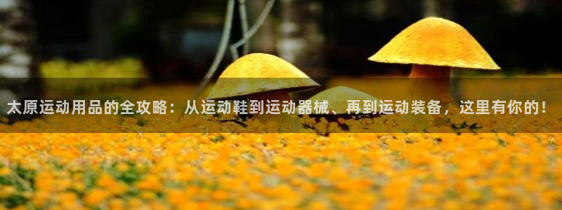 意昂4集团官网网址：太原运动用品的全攻略：从运动鞋到运动器械