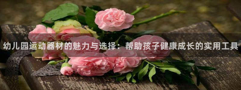 意昂体育4招商电话号码是多少：幼儿园运动器材的魅力与选择：帮