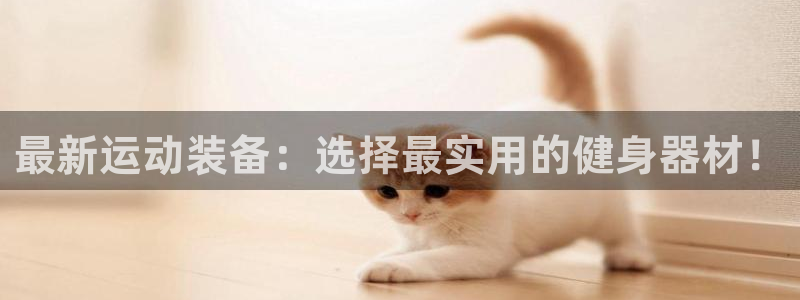 意昂体育4是干嘛的公司：最新运动装备：选择最实用的健