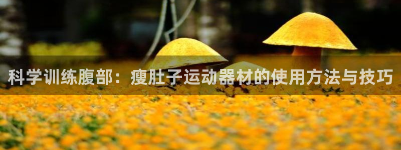 意昂体育4官方客服电话：科学训练腹部：瘦肚子运动器材