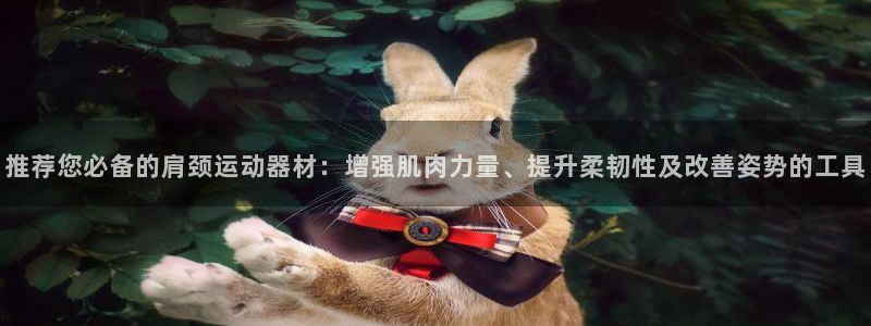 意昂4集团官网首页网址：推荐您必备的肩颈运动器材：增强肌肉力