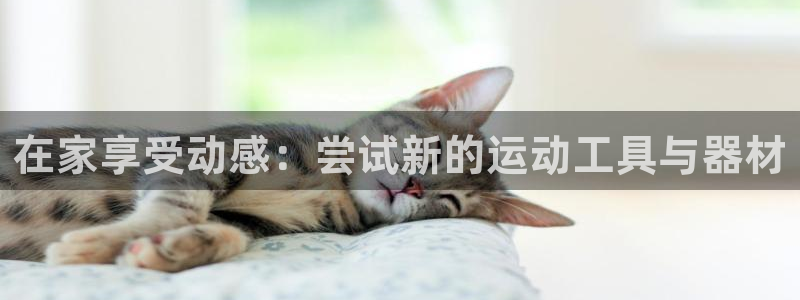 意昂体育4招商电话号码：在家享受动感：尝试新的运动工具与器材