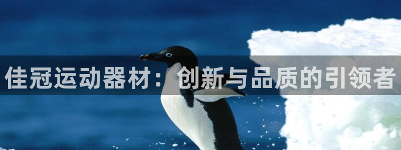 意昂4集团简介：佳冠运动器材：创新与品质的引领者