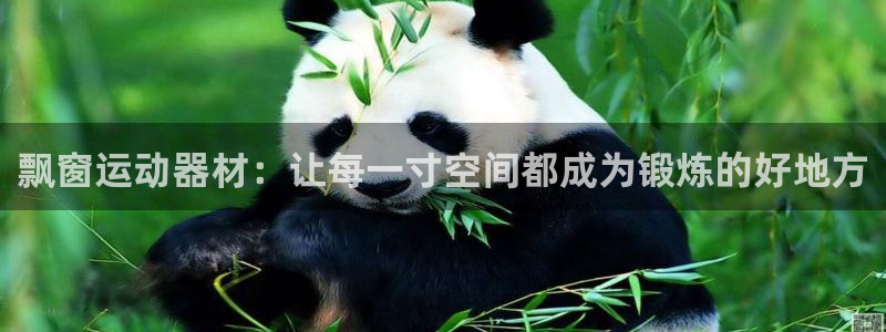 意昂平台体育：飘窗运动器材：让每一寸空间都成为锻炼的好地方