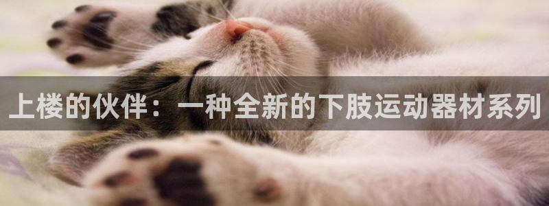 意昂体育4平台注册：上楼的伙伴：一种全新的下肢运动器材系列