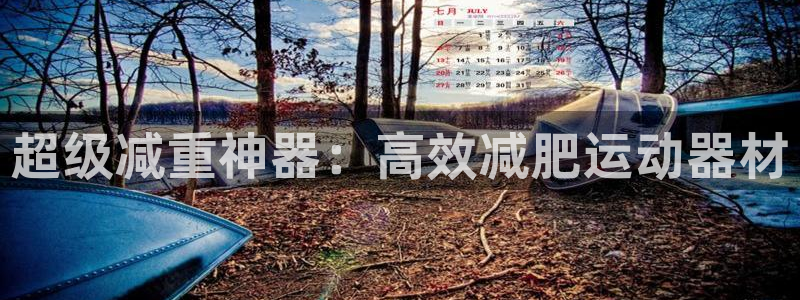 注册意昂4：超级减重神器：高效减肥运动器材